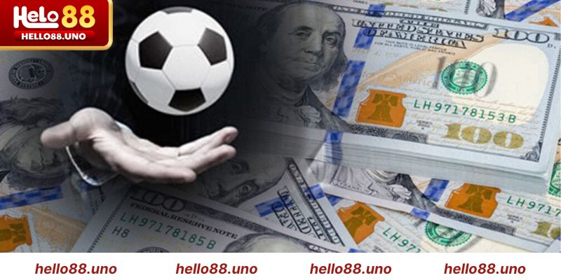 Môi trường cá cược lành mạnh tại Hello88
