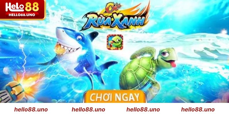 Tổng quan về bắn cá rùa xanh
