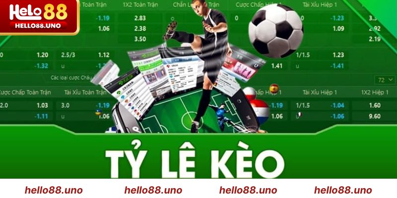 Tổng quan về các tỷ lệ cá độ