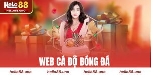 Web Cá Độ Bóng Đá